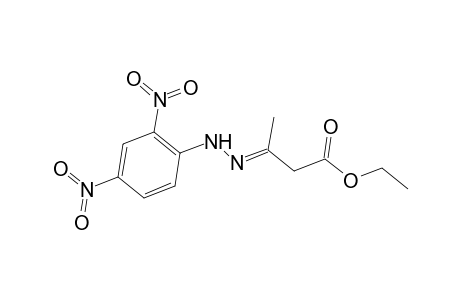 acetoacetic acid, ethyl ester, 2,4-dinitrophenylhydrazone