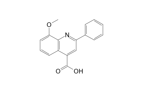 8-methoxy-2-phenylcinchoninic acid