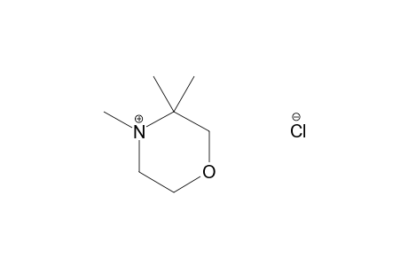 3,3,4-TRIMETHYL-MORPHOLINE-HYDROCHLORIDE