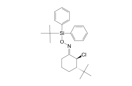 (E)-TRANS-2-CHLORO-3-(1,1-DIMETHYLETHYL)-CYCLOHEXANONE-O-(TERT.-BUTYLDIPHENYSILYL)-OXIME