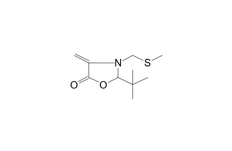 2-tert-Butyl-4-methylene-3-[(methylsulfanyl)methyl]-1,3-oxazolidin-5-one