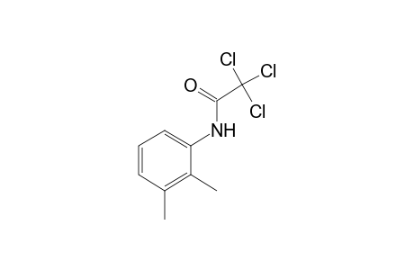 2,2,2-trichloro-2',3'-acetoxylidide