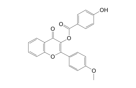 p-hydroxybenzoic acid, ester with 3-hydroxy-4'-methoxyflavone