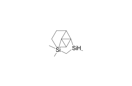 8,10-Disilatetracyclo[4.4.0.01,7.02,7]decane, 8,8,10-trimethyl-