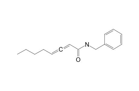 N-Benzyl octa-2,3-dienamide