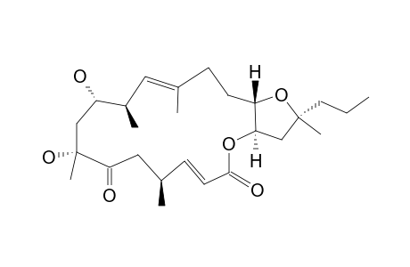 AMPHIDINOLIDE:Y