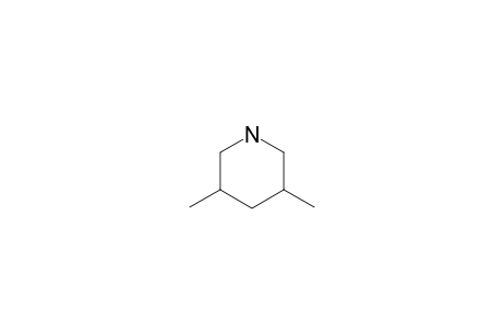 cis-3,5-Dimethyl-piperidine