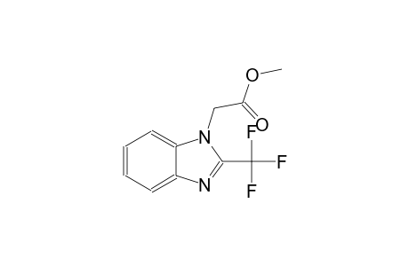 methyl 2-(2-(trifluoromethyl)-1H-benzo[d]imidazol-1-yl)acetate