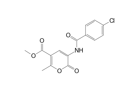 3-(p-CHLOROBENZAMIDO)-6-METHYL-2-OXO-2H-PYRAN-5-CARBOXYLIC ACID, METHYL ESTER