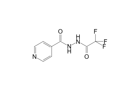 Isoniazid TFA