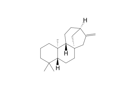 ent-kaurene