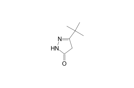 5-tert-Butyl-2,4-dihydro-3H-pyrazol-3-one