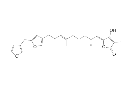 (20E)-Sarcotin D