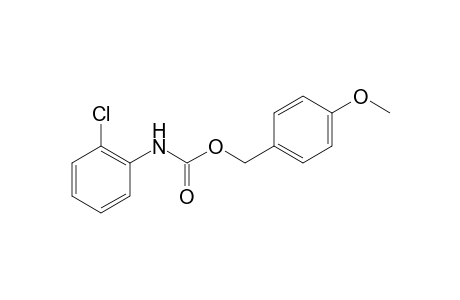 (2-Chlorophenyl)carbamic acid, 4-methoxybenzyl ester