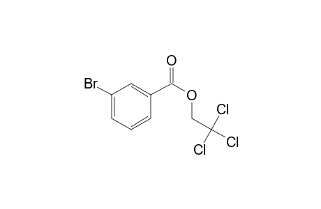 3-Bromobenzoic acid, 2,2,2-trichloroethyl ester