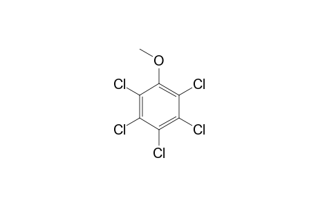 Pentachloroanisole