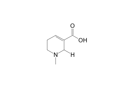 1-Methyl-1,2,5,6-tetrahydronicotinic acid