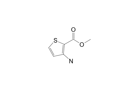 3-Amino-2-thiophenecarboxylic acid, methyl ester