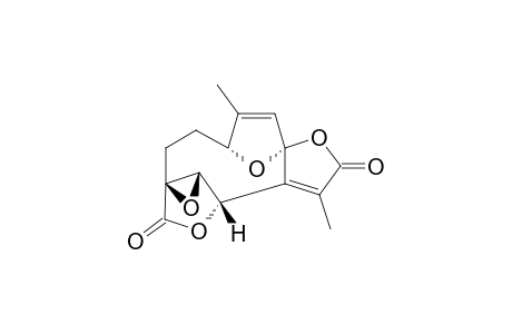 Pseudoneoliacine