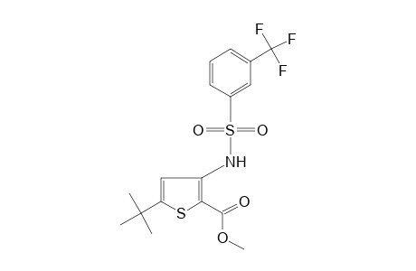 5-tert-BUTYL-3-(alpha,alpha,alpha-TRIFLUORO-m-TOLUENESULFONAMIDO)-2-THIOPHENECARBOXYLIC ACID, METHYL ESTER