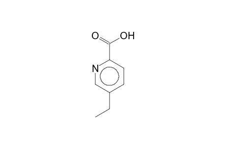 5-Ethyl-2-pyridinecarboxylic acid