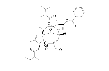 17-BENZOYLOXY-3-O-(2,3-DIMETHYLBUTANOYL)-13-(2,3-DIMETHYLBUTANOYLOXY)-INGENOL