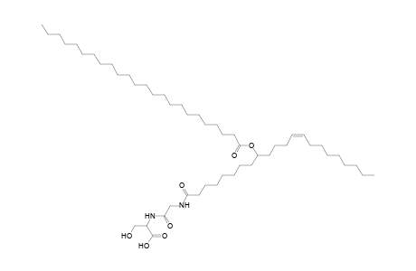 NAGlySer 24:0/22:1