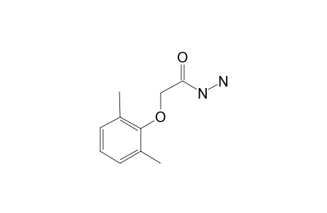 2-(2,6-Dimethylphenoxy)acetohydrazide