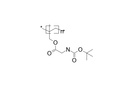 Poly(tert-butoxycarbonylglycidyl methallyl ester)