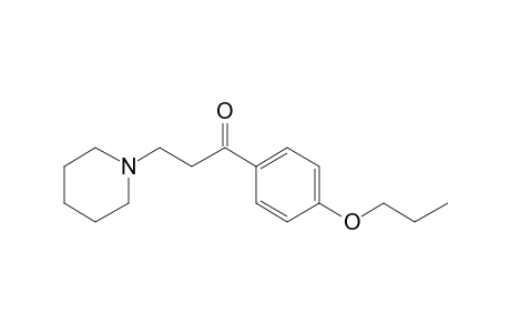 Propipocaine