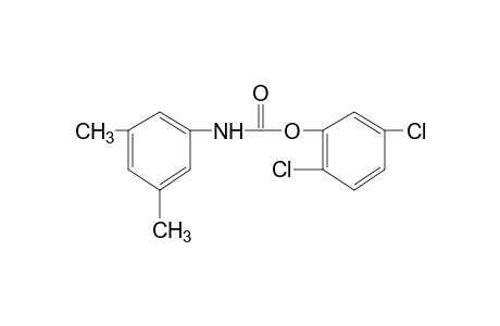 3,5-dimethylcarbanilic acid, 2,5-dichlorophenyl ester