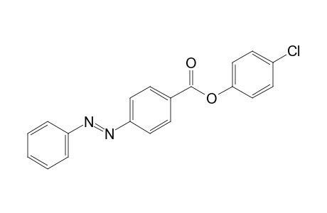 p-Phenylazobenzoic acid, p-chlorophenyl ester