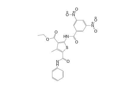 ethyl 5-(anilinocarbonyl)-2-[(3,5-dinitrobenzoyl)amino]-4-methyl-3-thiophenecarboxylate