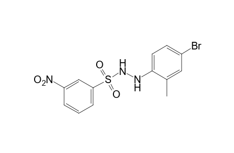 m-nitrobenzenesulfonic acid, 2-(4-bromo-o-tolyl)hydrazide