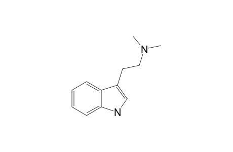 n,n-Dimethyltryptamine