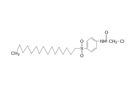 2-chloro-4'-(hexadecylsulfonyl)acetanilide