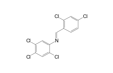 N-(2,4-dichlorobenzylidene)-2,4,5-trichloroaniline