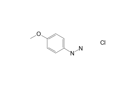 4-Methoxyphenylhydrazine hydrochloride