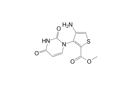 Methyl 4-Amino-3-(1',2',3',4'-tetrahydro-2',4'-dioxopyrimidin-1'-yl)thiophene-2-carboxylate