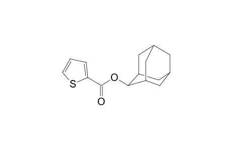 2-Thiophenecarboxylic acid, 2-adamantyl ester