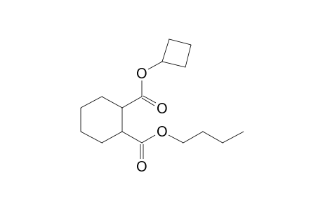 1,2-Cyclohexanedicarboxylic acid, butyl cyclobutyl ester