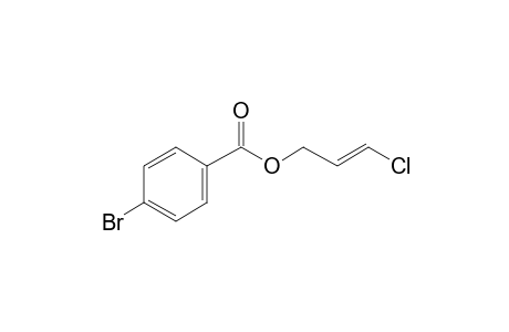 4-Bromobenzoic acid, 3-chloroprop-2-enyl ester