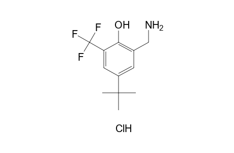 alpha-AMINO-4-tert-BUTYL-alpha',alpha',alpha'-TRIFLUORO-2,6-XYLENOL, HYDROCHLORIDE