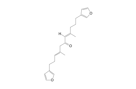 FUROSPONGIN-2