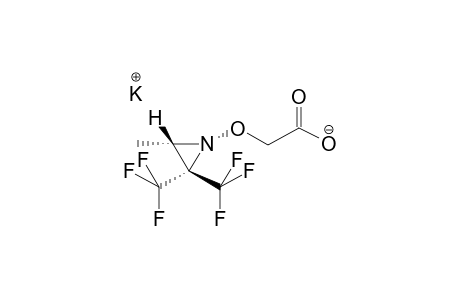 TRANS-1-CARBOXYMETHOXY-2-METHYL-3,3-BIS(TRIFLUOROMETHYL)AZIRIDINE,POTASSIUM SALT