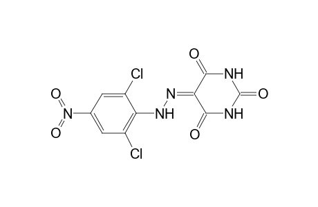 2,4,5,6(1H,3H)-pyrimidinetetrone 5-[(2,6-dichloro-4-nitrophenyl)hydrazone]