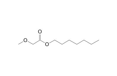 Methoxyacetic acid, heptyl ester