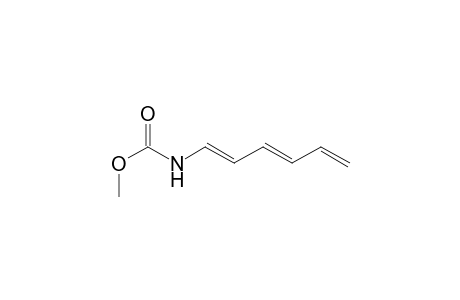 Carbamic acid, 1,3,5-hexatrienyl-, methyl ester