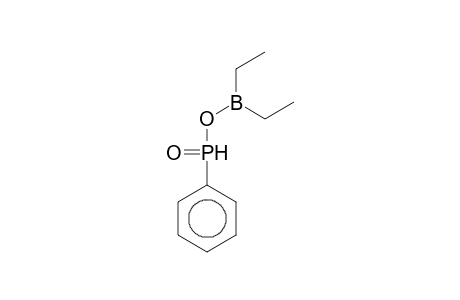 Phosphinic acid, phenyl-, anhydride with diethylborinic acid