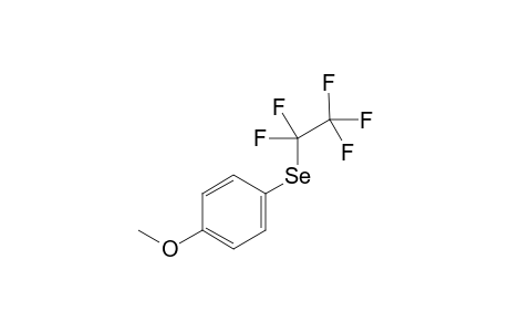 1-methoxy-4-[(1,1,2,2,2-pentafluoroethyl)selanyl]benzene